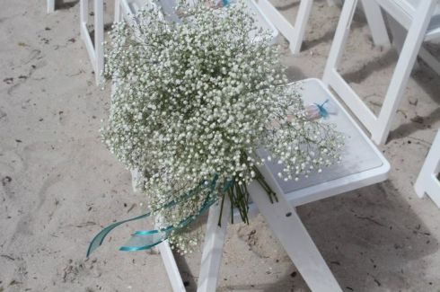 310127_10100215129480669_7809926_50485967_1855303_n