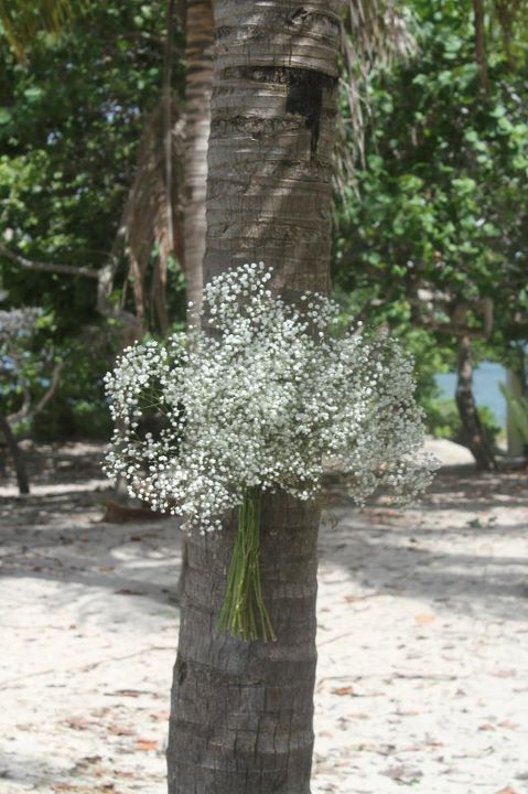 319004_10100215129126379_7809926_50485962_8079337_n