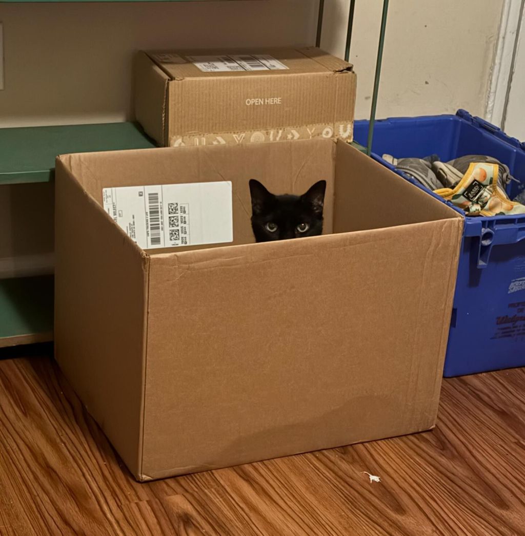 Goodbye, Georgia. Hello,&nbsp;Hollywood!