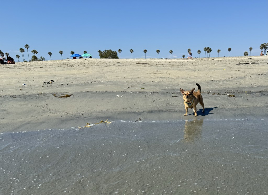 California: Week one